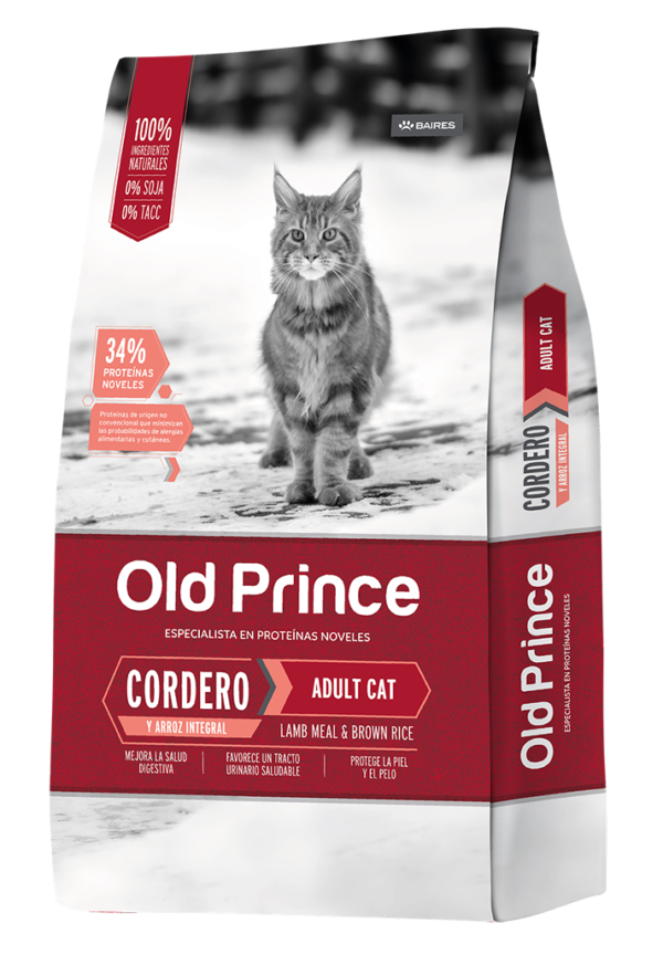 02171537_RendersGatosAdultos