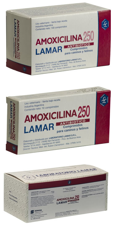 amoxicilina250_02
