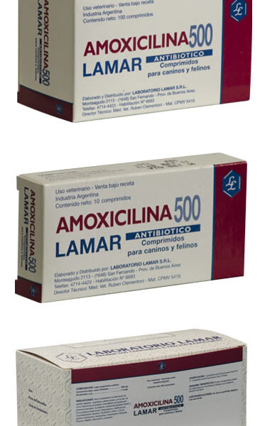 AMOXICILINA 500 mg
