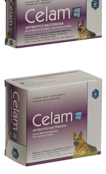 CELAM 1000