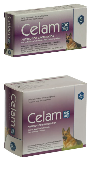 celam1000_08