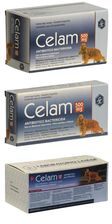 celam500_07
