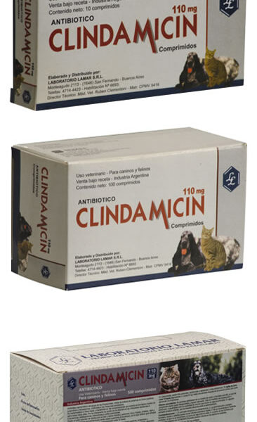 CLINDAMICIN 110