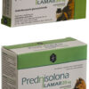 prednisolona_39 prednisolona_39