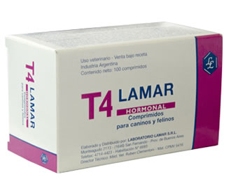 T4