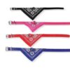 1463-collar-para-perros-con-panuelo31-9924456da1c52eb6ef15969086151538-1024-1024