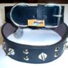 COLLAR MASTIN PUNTAS