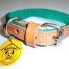 COLLAR NYLON REFORZADO