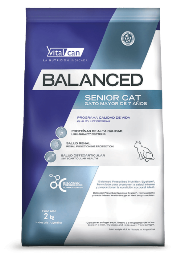 BALANCED GATO SENIOR