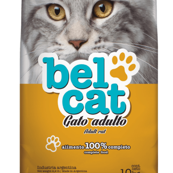 BELCAT ADULTO