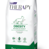 THERAPY FELINE OBESITY THERAPY FELINE OBESITY