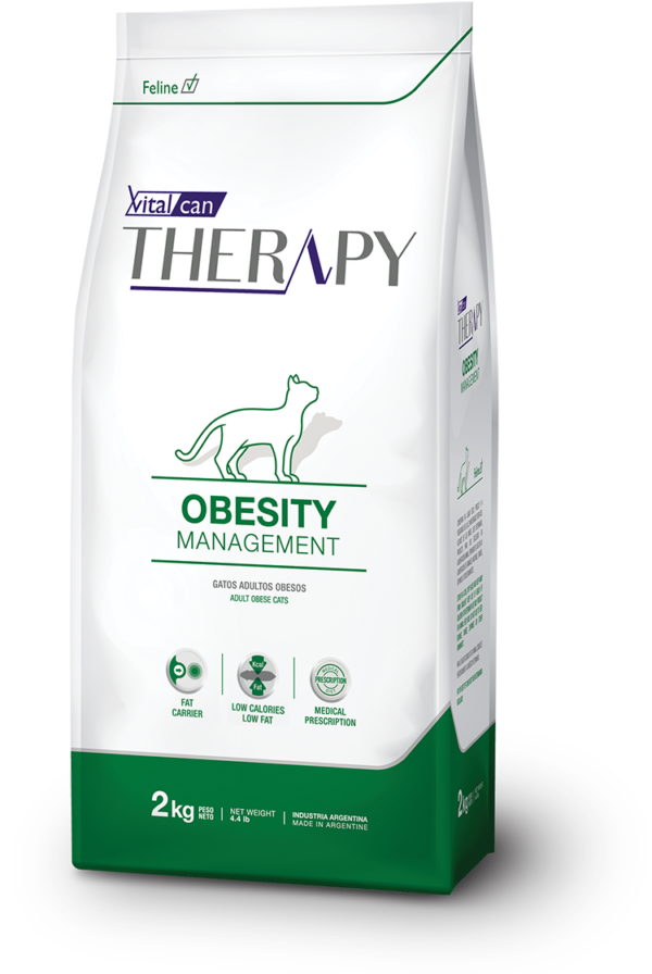 THERAPY FELINE OBESITY