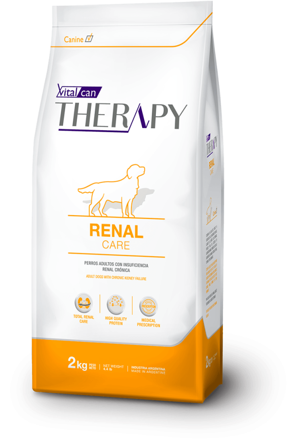 THERAPY RENAL CARE